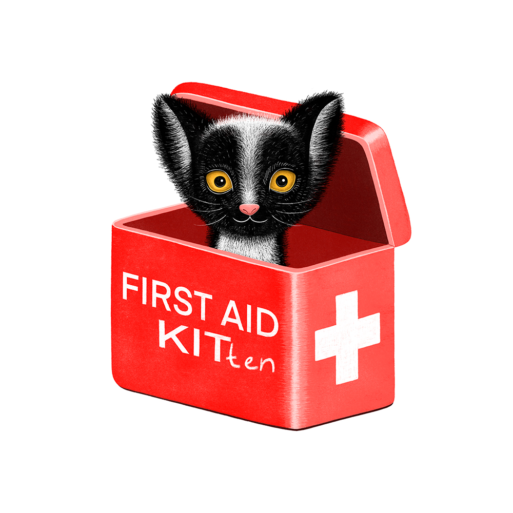 First Aid Kitten Illustration eggen lucia eggenhoffer illustrator prague
