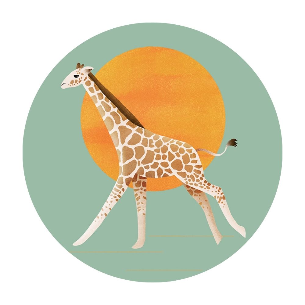 giraffe and sun